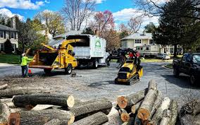 Best Lawn Mowing  in Pughtown, PA