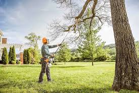 Best Weed Control  in Pughtown, PA