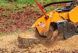 Best Tree Removal  in Pughtown, PA