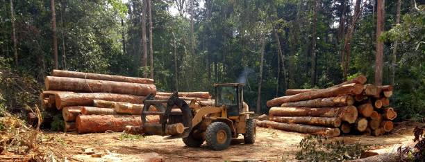 Best Commercial Tree Services  in Pughtown, PA